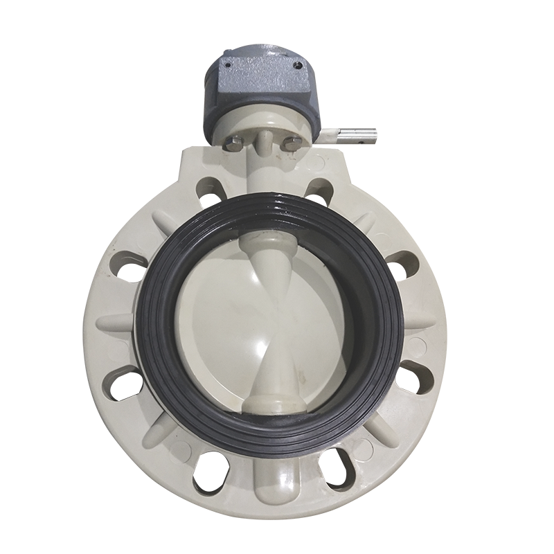 PPH渦輪(lun)蝶閥