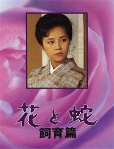 天下钓鱼技巧2016